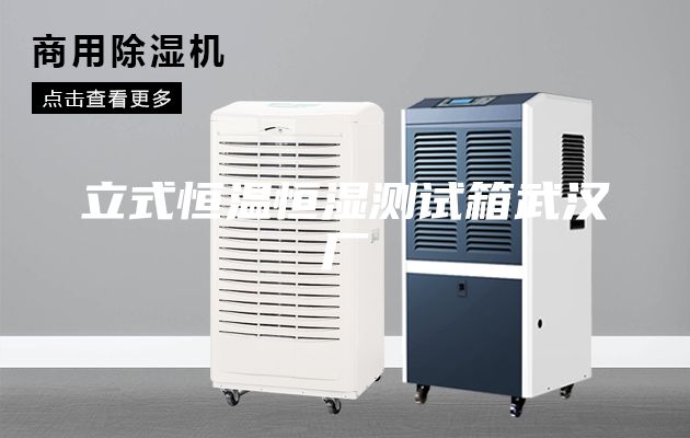 立式恒溫恒濕測試箱武漢廠(chǎng)