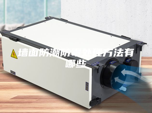 墻面防潮防霉處理方法有哪些