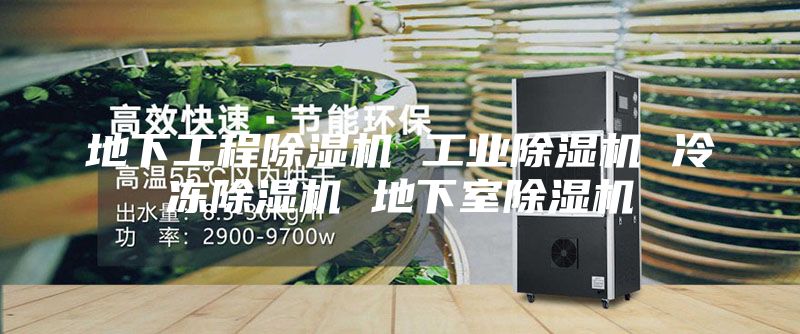 地下工程除濕機 工業(yè)除濕機 冷凍除濕機 地下室除濕機