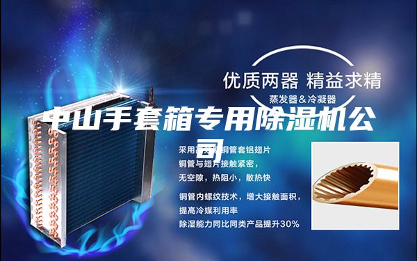 中山手套箱專(zhuān)用除濕機公司