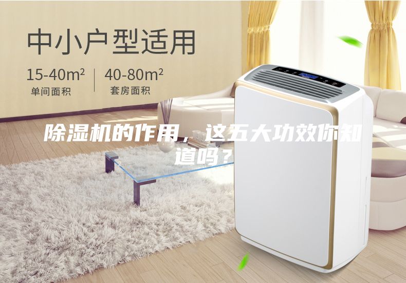除濕機的作用，這五大功效你知道嗎？