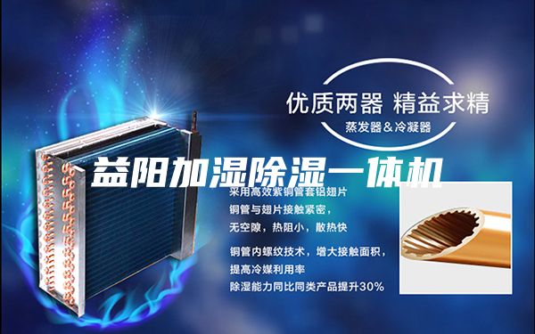 益陽(yáng)加濕除濕一體機