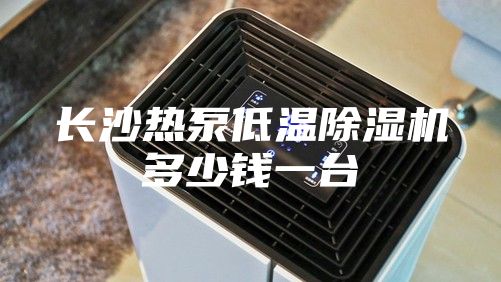 長(cháng)沙熱泵低溫除濕機多少錢(qián)一臺