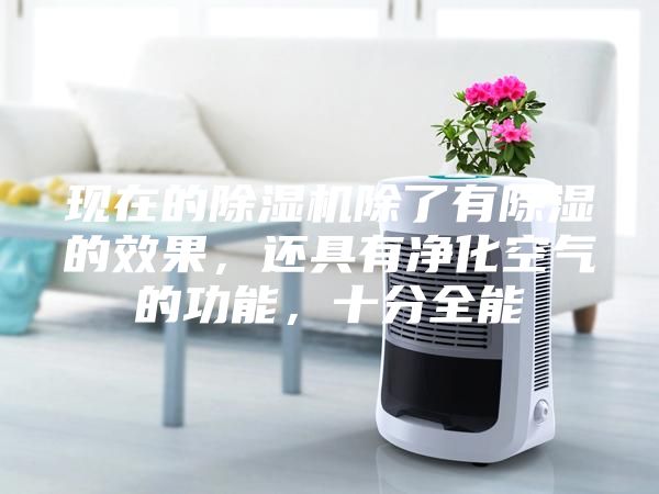 現在的除濕機除了有除濕的效果，還具有凈化空氣的功能，十分全能