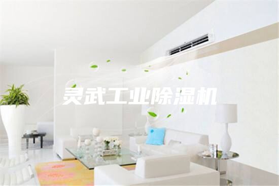 靈武工業(yè)除濕機
