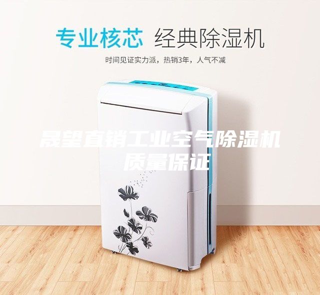 晟望直銷(xiāo)工業(yè)空氣除濕機 質(zhì)量保證