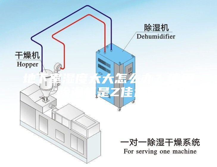 地下室濕度太大怎么辦？使用除濕機是Z佳選擇