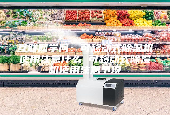 互聯(lián)網(wǎng)學(xué)問(wèn)：可移動(dòng)式除濕機使用注意什么 可移動(dòng)式除濕機使用注意事項