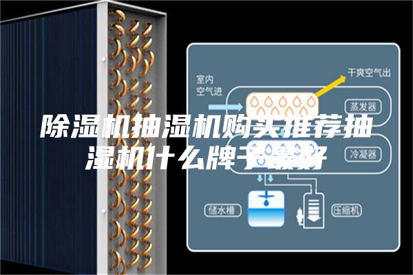 除濕機抽濕機購買(mǎi)推薦抽濕機什么牌子最好