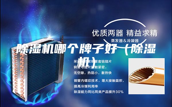 除濕機哪個(gè)牌子好（除濕機）