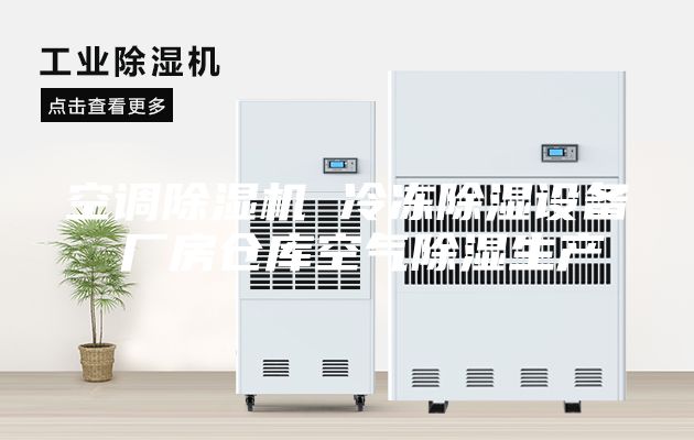 空調除濕機 冷凍除濕設備 廠(chǎng)房倉庫空氣除濕生產(chǎn)