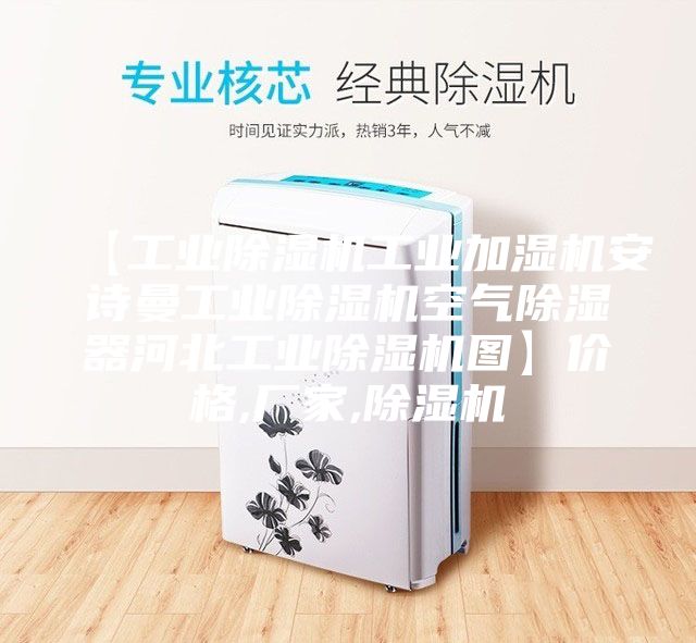 【工業(yè)除濕機工業(yè)加濕機安詩(shī)曼工業(yè)除濕機空氣除濕器河北工業(yè)除濕機圖】?jì)r(jià)格,廠(chǎng)家,除濕機