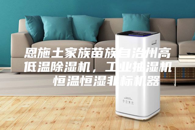 恩施土家族苗族自治州高低溫除濕機，工業(yè)抽濕機  恒溫恒濕非標機器