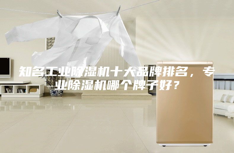 知名工業(yè)除濕機十大品牌排名，專(zhuān)業(yè)除濕機哪個(gè)牌子好？