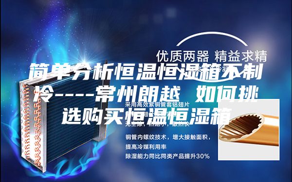 簡(jiǎn)單分析恒溫恒濕箱不制冷----常州朗越 如何挑選購買(mǎi)恒溫恒濕箱