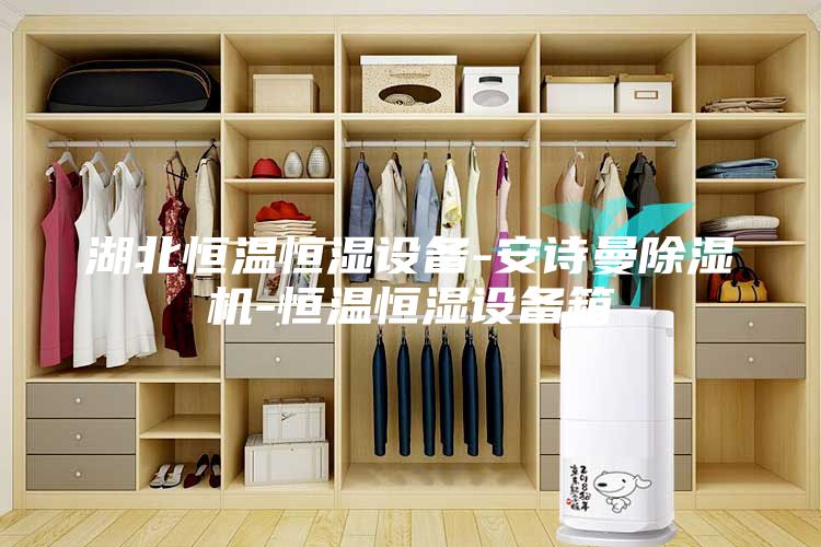 湖北恒溫恒濕設備-安詩(shī)曼除濕機-恒溫恒濕設備箱