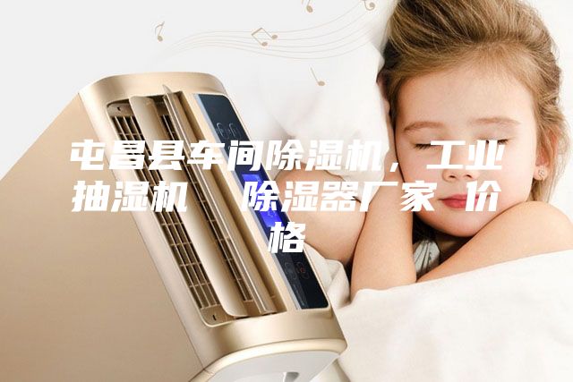 屯昌縣車(chē)間除濕機，工業(yè)抽濕機  除濕器廠(chǎng)家 價(jià)格