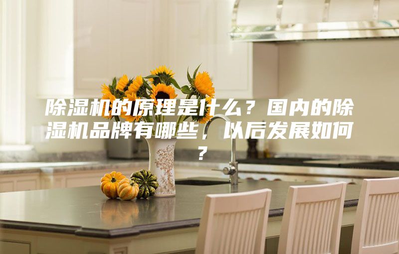 除濕機的原理是什么？國內的除濕機品牌有哪些，以后發(fā)展如何？