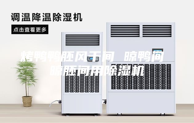 烤鴨鴨胚風(fēng)干間 晾鴨間 晾胚間用除濕機