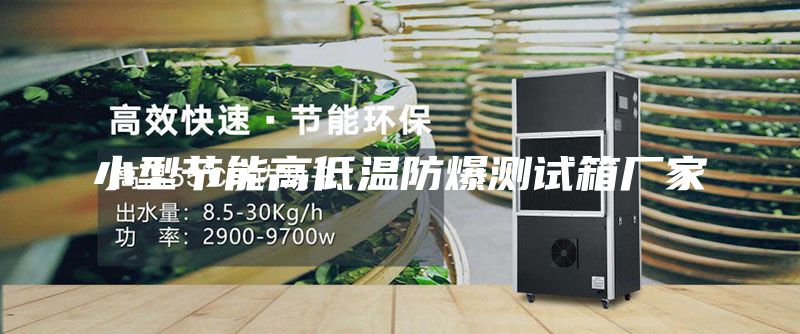 小型節能高低溫防爆測試箱廠(chǎng)家