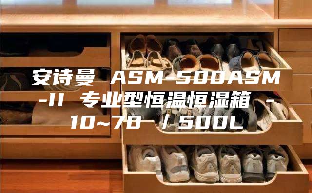 安詩(shī)曼 ASM-500ASM-II 專(zhuān)業(yè)型恒溫恒濕箱 -10~70℃／500L
