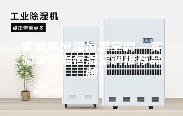 實(shí)驗室恒溫恒濕空調—實(shí)驗室恒溫恒濕空調推薦品牌