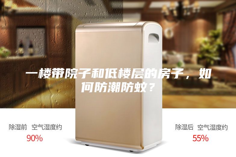 一樓帶院子和低樓層的房子，如何防潮防蚊？