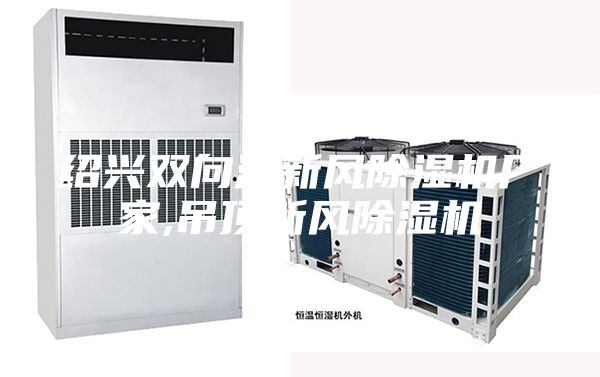 紹興雙向流新風(fēng)除濕機廠(chǎng)家,吊頂新風(fēng)除濕機