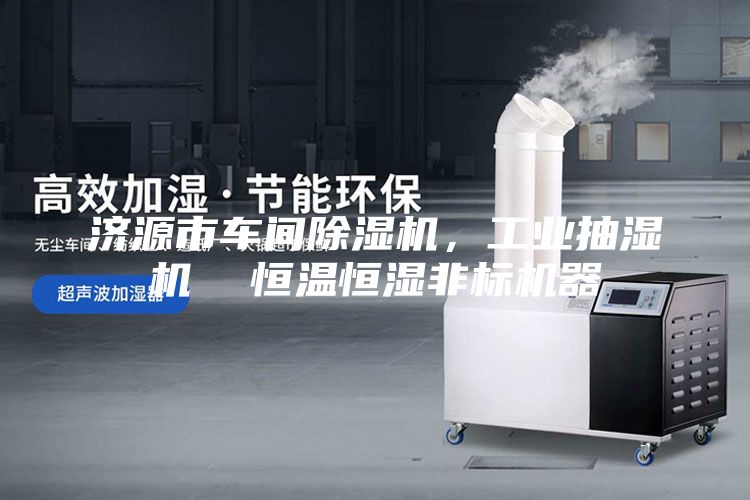 濟源市車(chē)間除濕機，工業(yè)抽濕機  恒溫恒濕非標機器