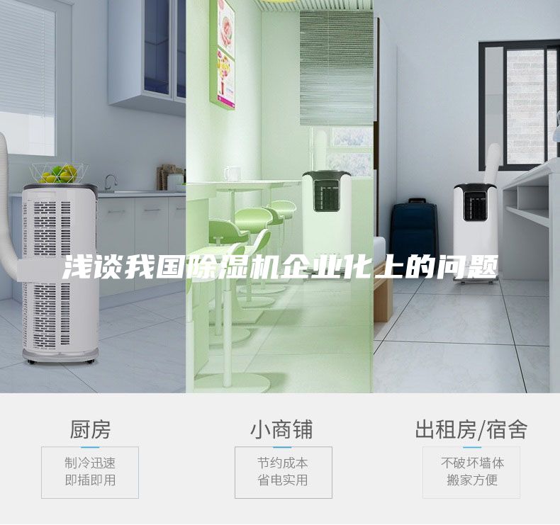 淺談我國除濕機企業(yè)化上的問(wèn)題