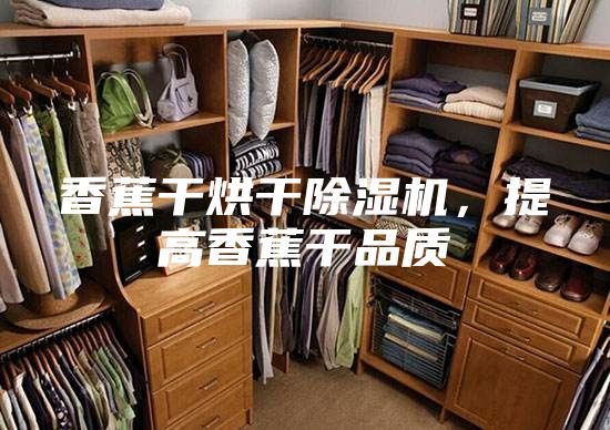 香蕉干烘干除濕機，提高香蕉干品質(zhì)