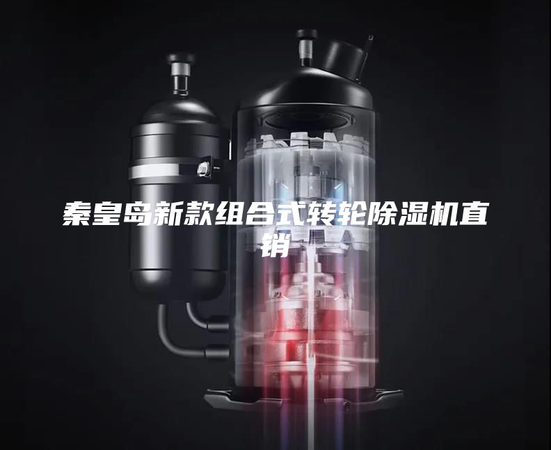 秦皇島新款組合式轉輪除濕機直銷(xiāo)