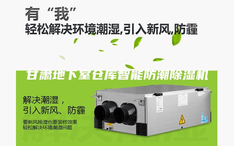 甘肅地下室倉庫智能防潮除濕機