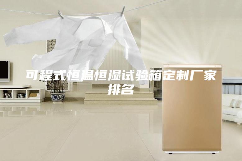可程式恒溫恒濕試驗箱定制廠(chǎng)家排名