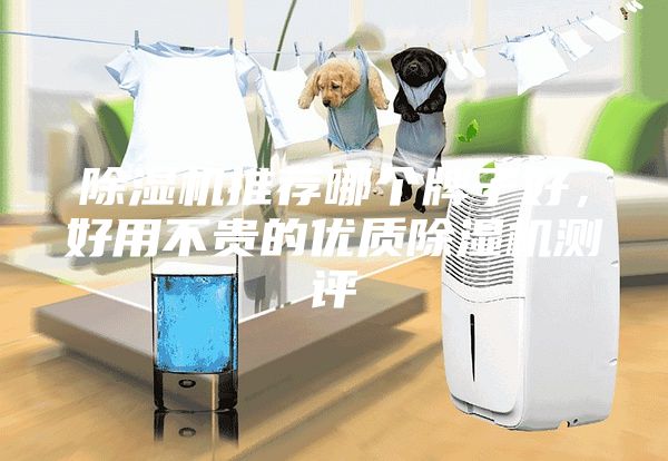除濕機推薦哪個(gè)牌子好，好用不貴的優(yōu)質(zhì)除濕機測評