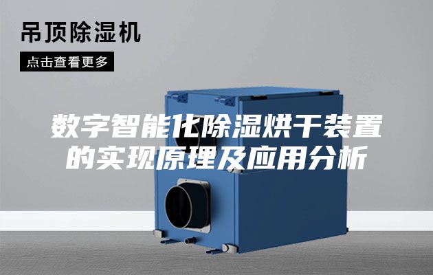 數字智能化除濕烘干裝置的實(shí)現原理及應用分析
