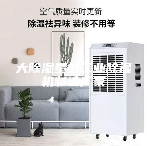 大除濕量的工業(yè)除濕機制造廠(chǎng)家