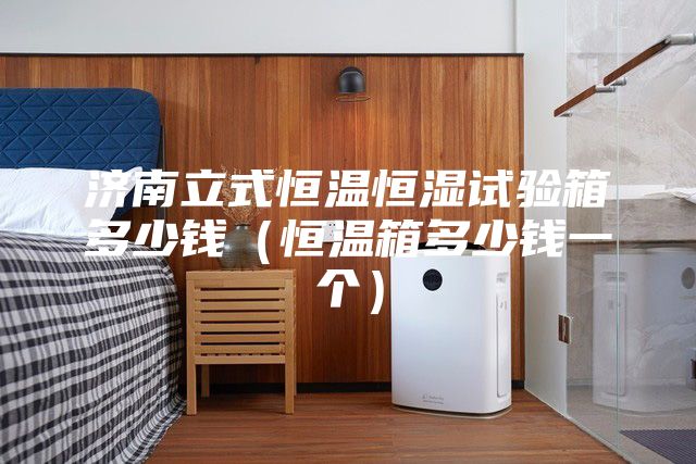 濟南立式恒溫恒濕試驗箱多少錢(qián)（恒溫箱多少錢(qián)一個(gè)）