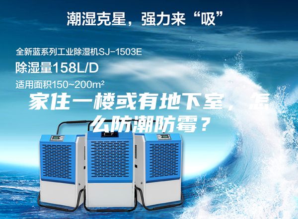 家住一樓或有地下室，怎么防潮防霉？