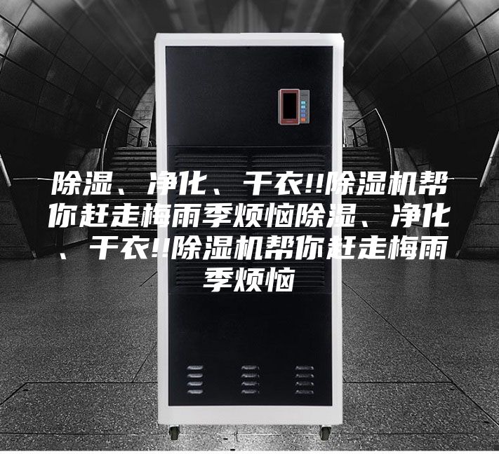 除濕、凈化、干衣!!除濕機幫你趕走梅雨季煩惱除濕、凈化、干衣!!除濕機幫你趕走梅雨季煩惱