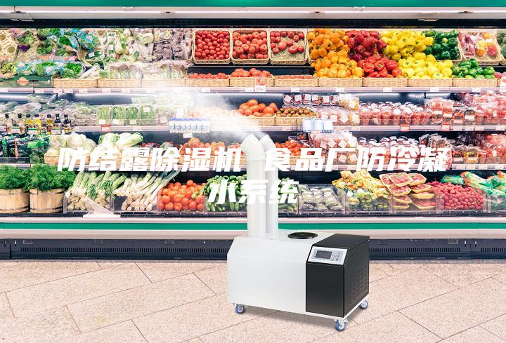 防結露除濕機 食品廠(chǎng)防冷凝水系統