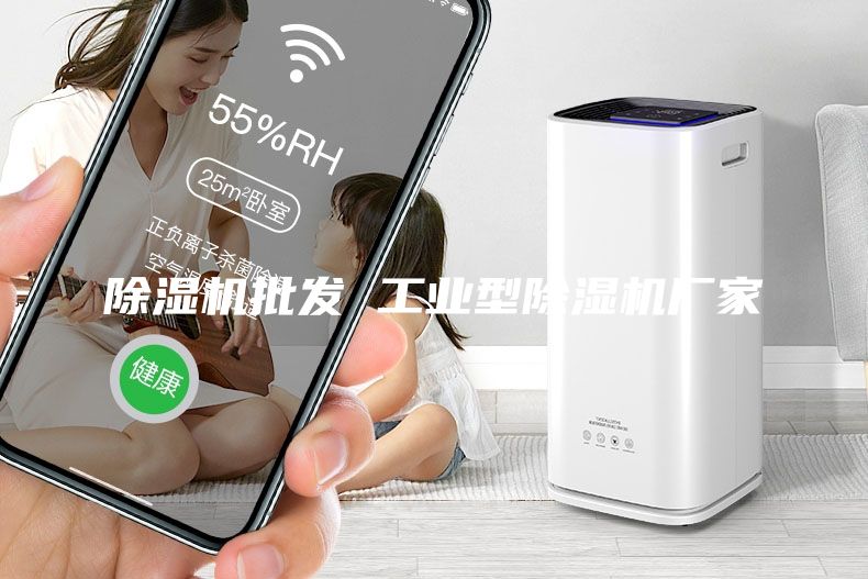 除濕機批發(fā) 工業(yè)型除濕機廠(chǎng)家