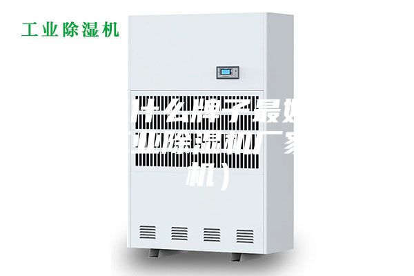 除濕機什么牌子最好（安詩(shī)曼工業(yè)除濕機廠(chǎng)家除濕機）