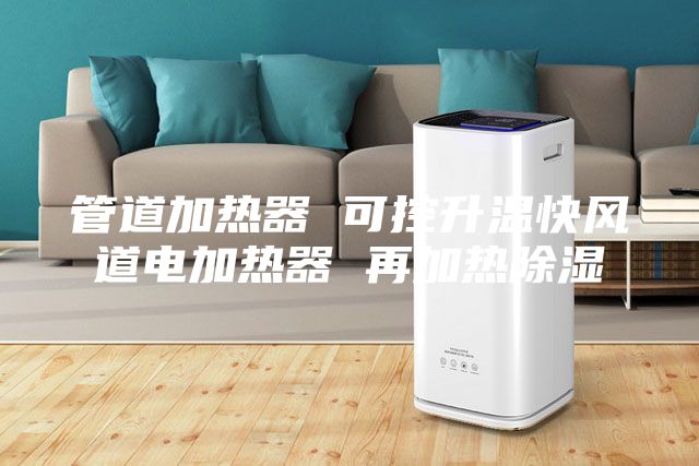 管道加熱器 可控升溫快風(fēng)道電加熱器 再加熱除濕