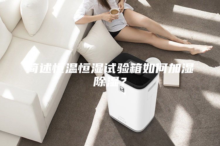 簡(jiǎn)述恒溫恒濕試驗箱如何加濕除濕？