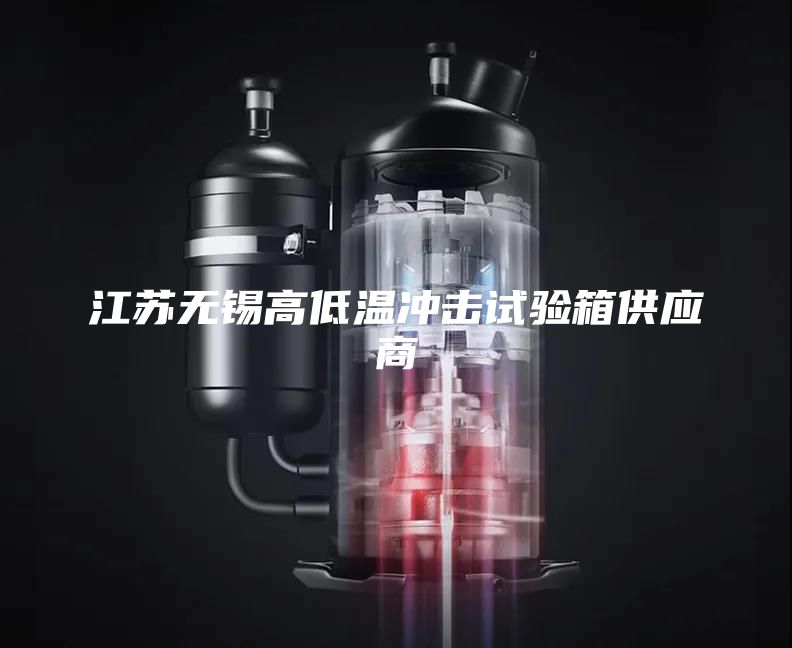 江蘇無(wú)錫高低溫沖擊試驗箱供應商