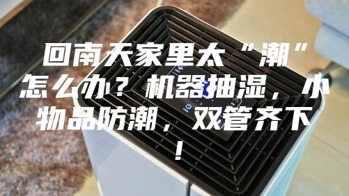 回南天家里太“潮”怎么辦？機器抽濕，小物品防潮，雙管齊下！