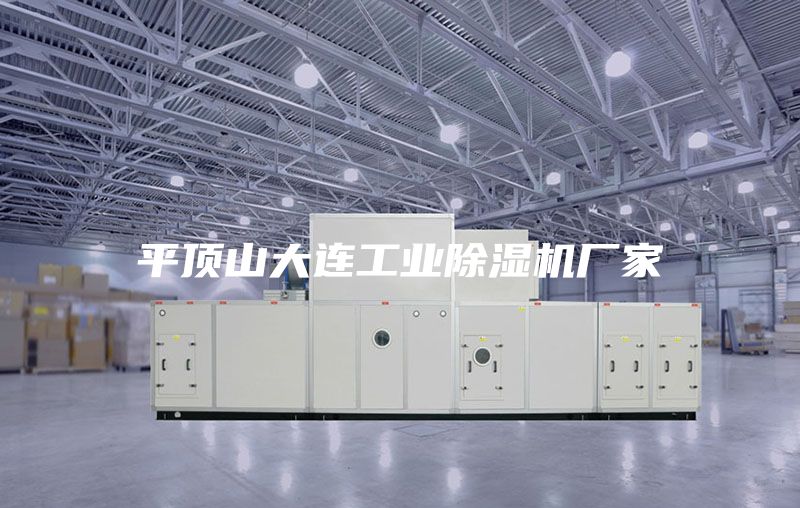 平頂山大連工業(yè)除濕機廠(chǎng)家