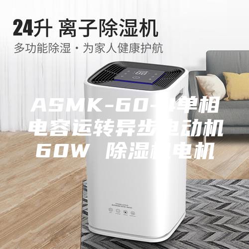 ASMK-60-4單相電容運轉異步電動(dòng)機60W 除濕機電機