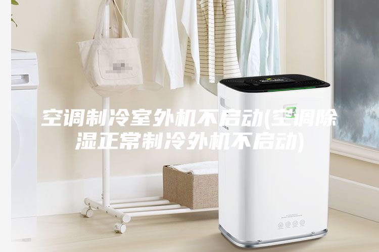 空調制冷室外機不啟動(dòng)(空調除濕正常制冷外機不啟動(dòng))